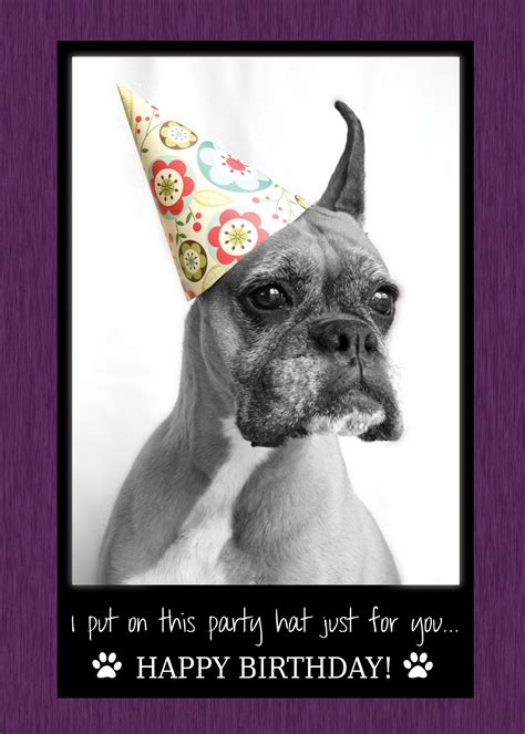 Funny Dog Sayings for Birthday