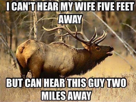 Funny Elk Sayings