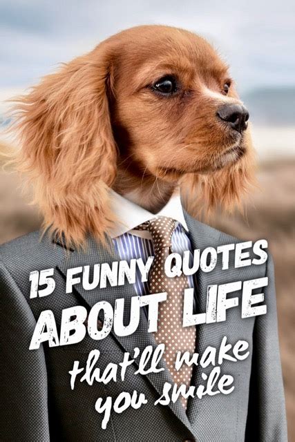 funny english sayings about life