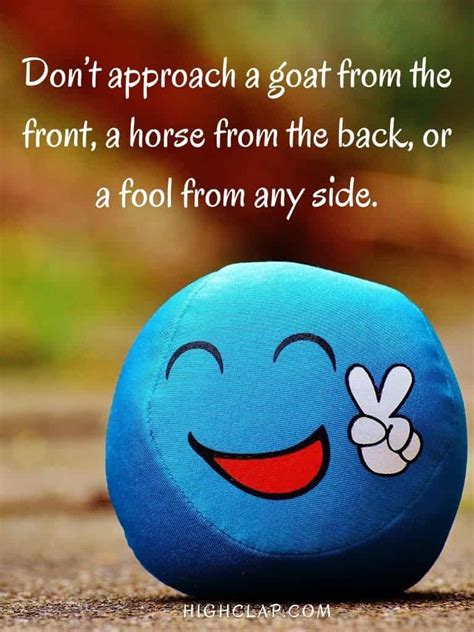 funny fool quotes and sayings