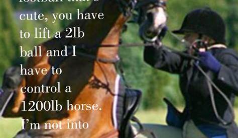 Funny Horse Quotes And Sayings. QuotesGram