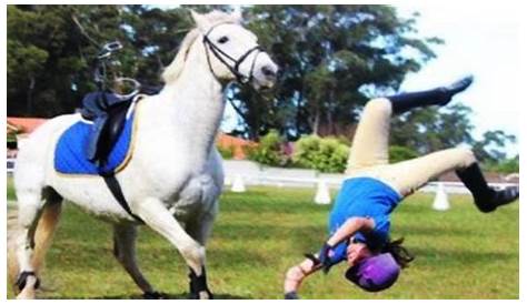 Funny Horse Riding Pictures PhotoBomb Challenge 13 Entry 1 Edit
