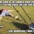 funny lawn mowing memes