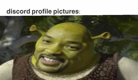 Meme Profile Pics For Discord | Funny profile, Funny profile pictures