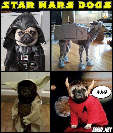 funny pictures of star wars dogs with sayings