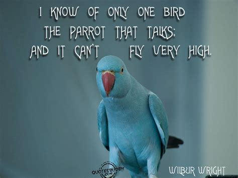funny sayings like it's for the birds