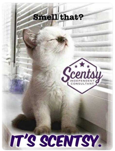 funny scentsy saying