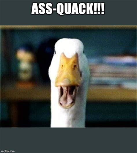🔥 25+ Best Memes About Duck Meme Generator Duck Meme Generator Memes