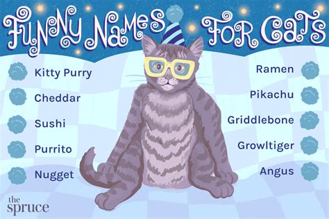 Funny and Cute Cat Names