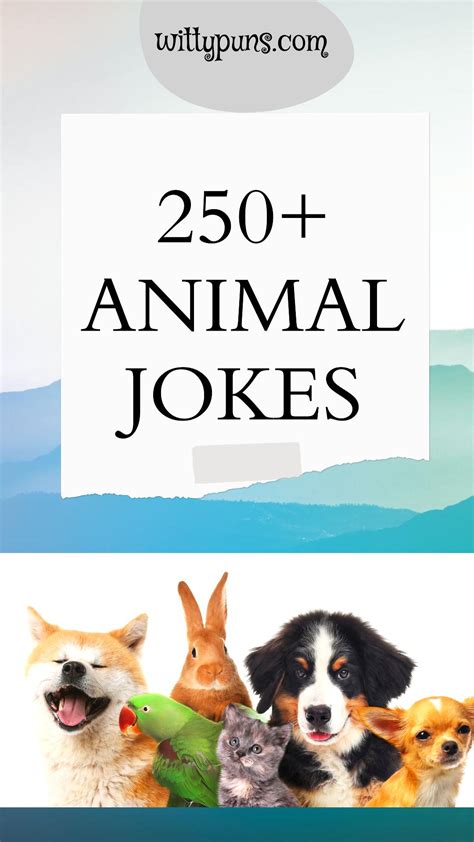 Funny Animal Terms