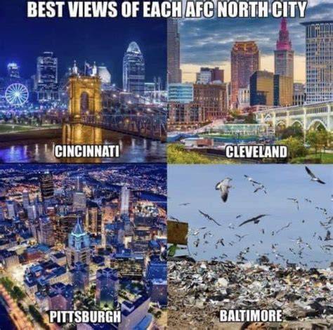 Pin by T. Dubs on Steelers Ravens Steelers ravens, Funny pix