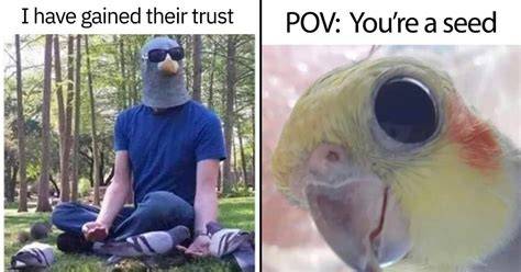 хейт акк ссаки учихи` on Twitter Cute memes, Funny animal jokes