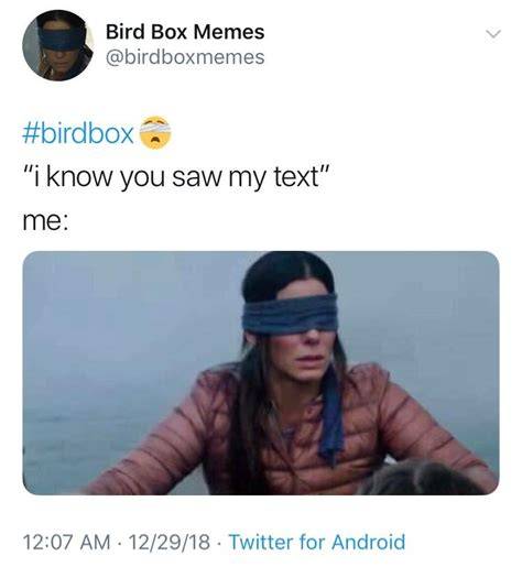 23 Hilarious 'Bird Box' Memes That Are Probably Better Than The Movie
