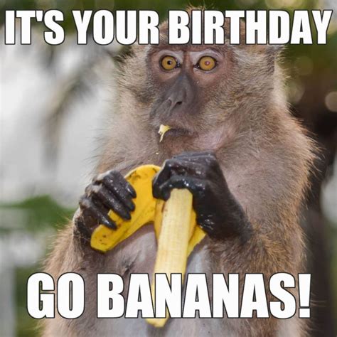 Funny Birthday Meme