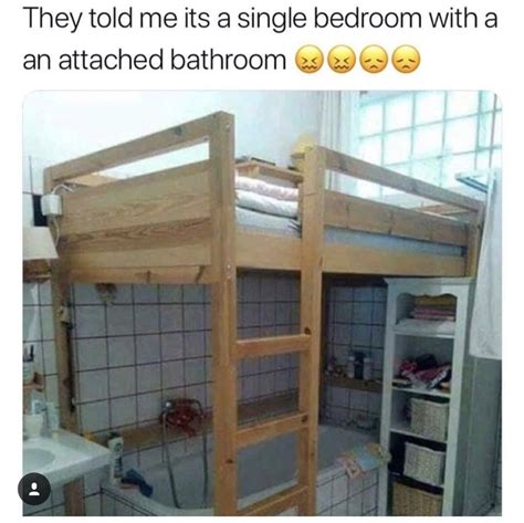 Funny Bunk Bed Picture