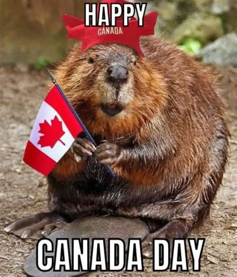 Canada Day Meme Archives Happy 4th Of July Images 2021