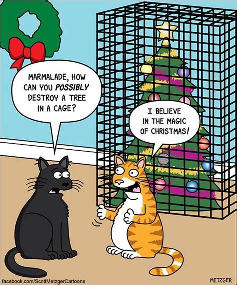 Funny Cat Tree Jokes
