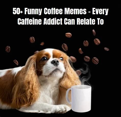 Funny Memes 2022 New Memes for 2022 Best Funny Memes