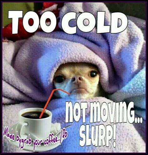 funny cold good morning