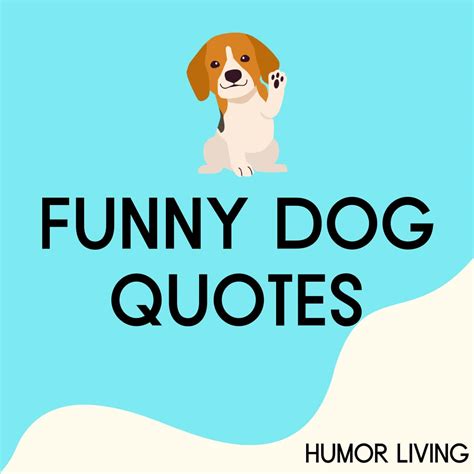 Funny Comments About Dogs