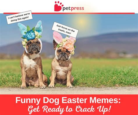 Funny Dog Easter Quotes