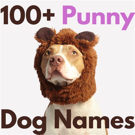 Funny Dog Names from Movies
