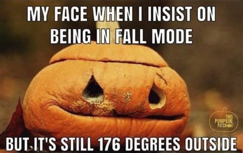 funny fall weather memes
