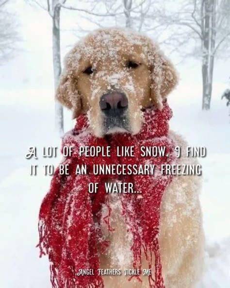 Freezing Memes That Hilariously Capture Our Hate of Cold Weather