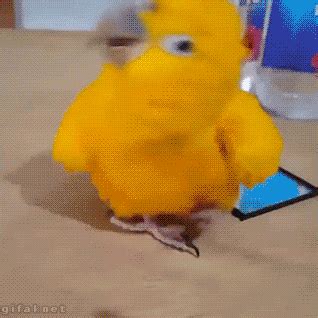 funny gifs to brighten someone's day