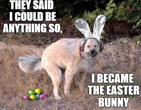 funny happy easter memes