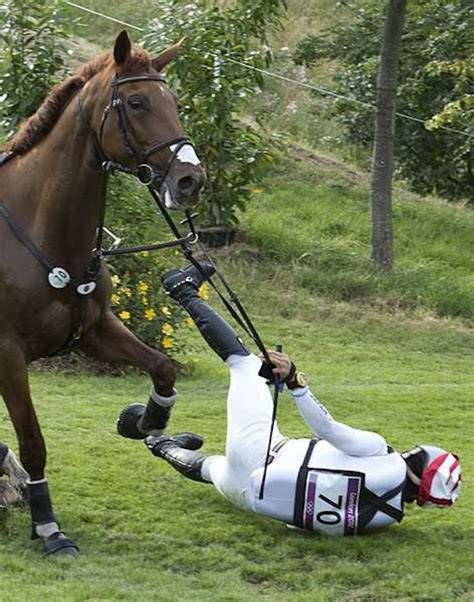 funny horse fails and falls