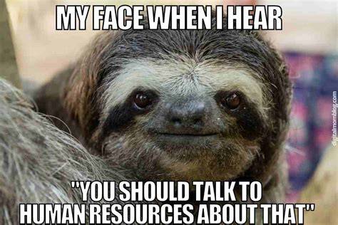 Human Resource Manager Human resources humor, Human resources, Human