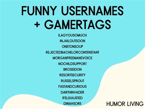 funny lol usernames