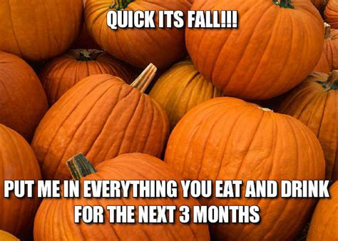 funny memes about fall