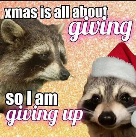 Pin by Xeres Poulos on Funny in 2020 Funny pictures, Funny memes