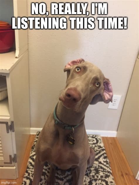 funny memes about listening