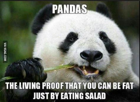 funny mistakes bored panda