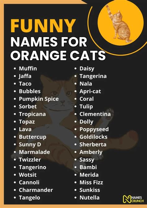 funny names for ginger cats male