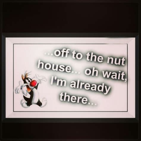 funny nut house sayings