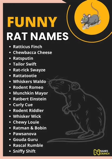 Funny Pet Rat Names