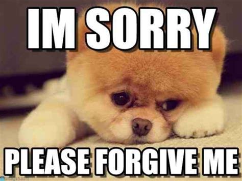 Funny Pictures Saying I'm Sorry
