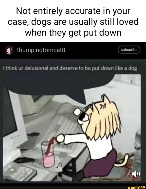 Funny Put Down Jokes