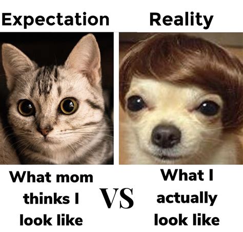20 Funny Expectation Versus Reality Memes