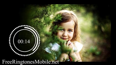 Funny Ringtone Remix