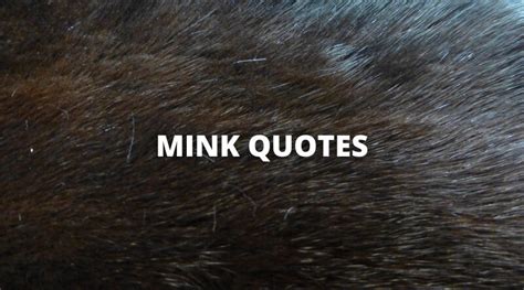 funny sayings with mink