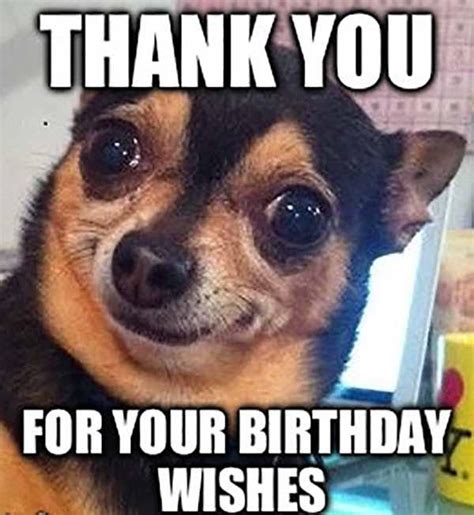 funny thank you meme for birthday wishes