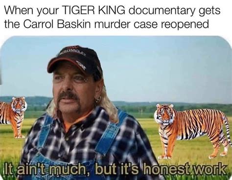 funny tiger king memes