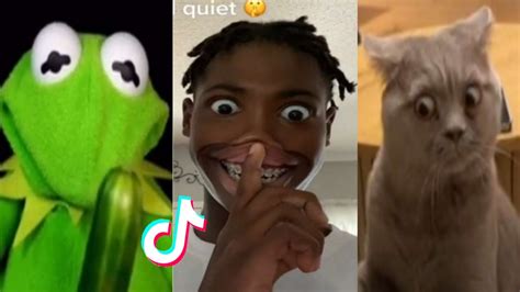 funny tiktok memes download