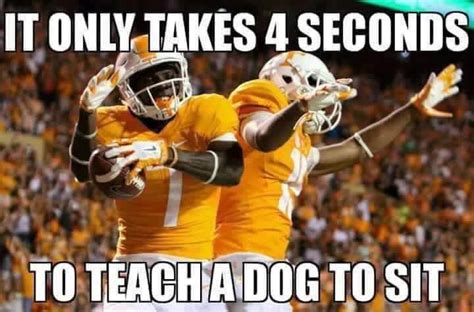 Pin by Cecil Waldroup II on Tennessee Vols Tennessee volunteers