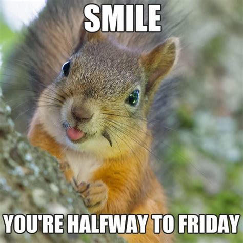 funny wednesday memes